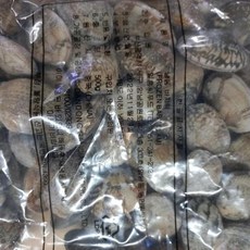 바지락 냉동 1kg(500g/2팩), 1개, 단품