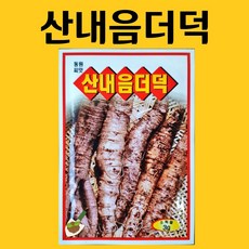 농사친구 더덕 씨앗 3g 동원 씨 종자 슈퍼 울트라 도라지 쪽파 고사리 명이나물 산상추 초당옥수수 항암배추 담배 산마늘 아스파라거스 고수, 1봉