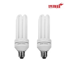 번개표 삼파장 형광램프 30W EFQR30EX-D, 주광색, 2개