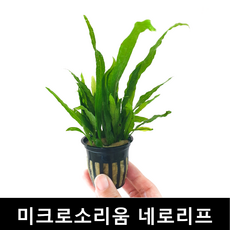 d3cd55ae83b3c6984bb79aa6568899d17e483795ed6e335a101fbd23d2ea.png