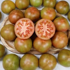 강원도화천토마토