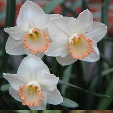 eb5b4c1aaa2e8c69ed2e3cfe0e54881c952855b2ab51c4a71c4124d9db0c.jpg