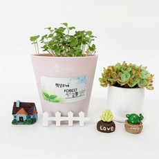 더포레스트스팀