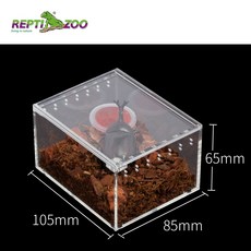  장수 풍뎅이 사슴벌레 집학교 완 동물 파충류 아크릴 사육 상자 게 극태 왕 애 외뿔 키우기 애벌레 톱 암컷, 미니 스파이더 박스 8  10  6 