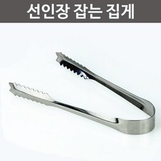 실험용선인장