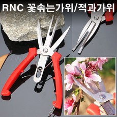 알속기