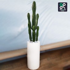청하각