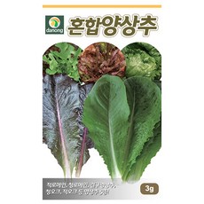 중국산양상추