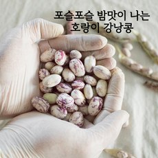 국산햇생강2kg(특품)