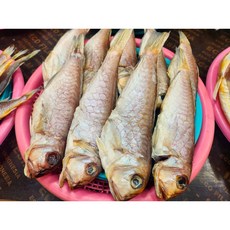 [제주대림수산] 자연산 통옥돔(반건조) 1.6kg이상(10마리) 내장 제거 됨(손질 O), 10개, 160g(1마리)
