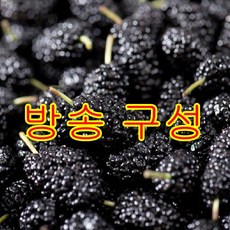 유기농오디-추천-상품