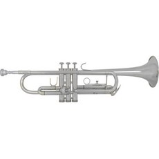tr300h2s