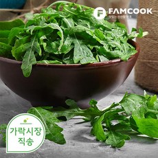 가락시장직송 루꼴라 1kg, 단품, 1개