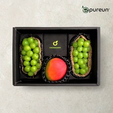 [이푸른] 블랙라벨 혼합과일세트 4호, 1세트
