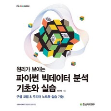 원리가 보이는 파이썬 빅데이터 분석 기초와 실습:구글 코랩 & 주피터 노트북 실습 가능, 한빛아카데미