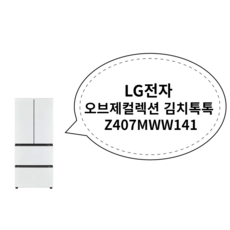 LG전자 오브제컬렉션 김치톡톡 Z407MWW141