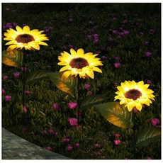 태양광해바라기