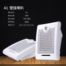 앰프스피커 SAST/SAST S4-6천장흡입식 확성기 천장형 벽걸이 스피커 정압 공공 방송 점포 배경 음악, T06-바이 딩 5inch벽걸이