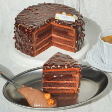 애니베이크 헤이즐넛 초콜릿 케이크 850g