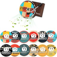 마이시칸 12pcs 자동차 공기청정기 통풍구 클립 팝 가수 앨범 커버 레코드 플레이어 자동차청정기 여성용 인터 액세서리 음악 애호가 선물. 패션, customization