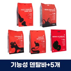 뇌와검