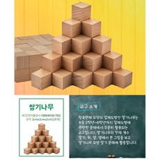 안쌤의 사고력 수학 퍼즐 쌓기나무 퍼즐