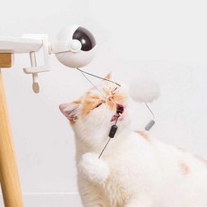 옥희독희요요볼