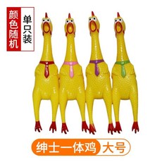 두다피트니스