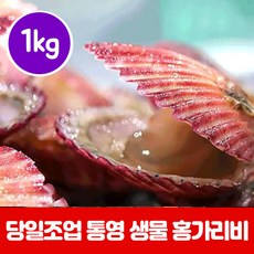 가리비시세