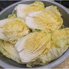 국내산 산지직송 절임배추 절인배추 김장 땅끝 전남 해남 휘파람골드 신안 천일염 황금배추 박스, 1박스, 20kg