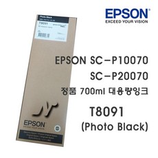 엡손p20070