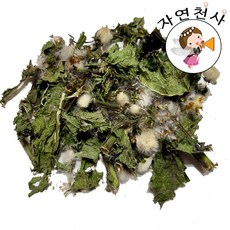 국산 야생 방가지똥 200g 직접채취 깨끗한 손질, 방가지똥200g, 1개 - 쥐똥금