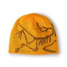 아크테릭스비니 TOP01