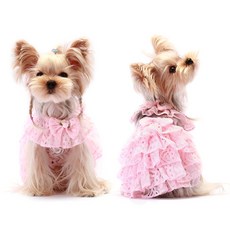 루이독미니드레스