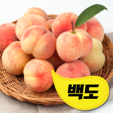 경북청도복숭아