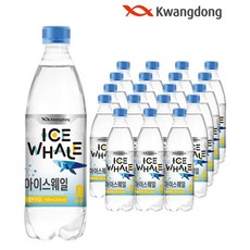 돌썬키스트레몬40개4.8kg