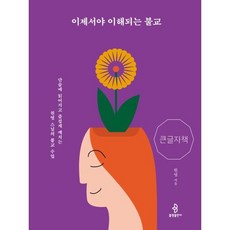 이제서야 이해되는 불교 (큰글자책) : 단숨에 읽어지고 즐겁게 깨치는 원영 스님의 불교 수업