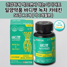 착한비건다이어트