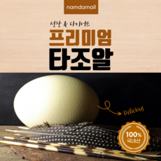 국내산 더블 프리미엄 타조알, 특란(1.5~1.6Kg미만), 2개, 1.6kg