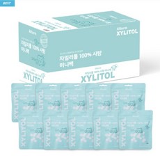 올바름 올바름 자일리톨100% 미니팩 30g, 10개