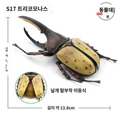 장수풍뎅이 사슴벌레 하늘소 피규어 헤라클레스장수풍뎅이 곤충 모형 5종, G 3종세트
