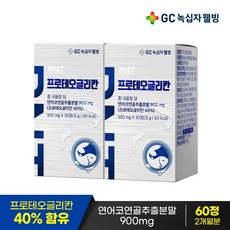 GC녹십자웰빙 PNT 프로테오글리칸, 15g, 2개