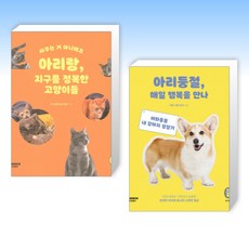 아리둥절에세이