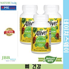 네이쳐스웨이 얼라이브 본 서포트 칼슘 1300mg 120정 3개 / Nature's Way Alive! Calcium Bone Support Exp. 2024/09