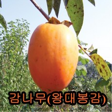807fe6c1a8fcb129f860c861a18e8efe3cb85507c40e5d8201ef909afcb9.jpg