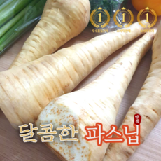 완전 달달하고 맛잇는 생 파스닙 500g 1kg 설탕당근 parsnip 파스닙 파스닙당근 parsnip parsnips 백년부엌 설탕당근 파스닙1kg Parsnip 당근파스닙 채소, 1개