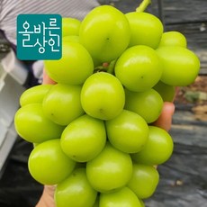 김천 프리미엄 샤인머스켓 2kg 4kg, 5수, 1개