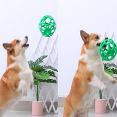 늘어나는강아지말랑이