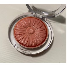 클리니크멜론팝