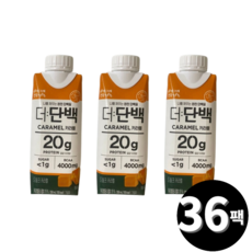 빙그레 더단백 프로틴음료 단백질 드링크 카라멜맛 250ml 총 36팩, 36개